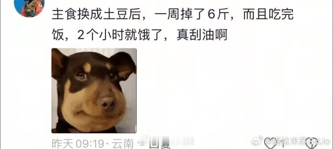 当我把土豆当成主食尝试主食替换一段时间，吃土豆之后血糖平稳很多，不会吃完米饭很