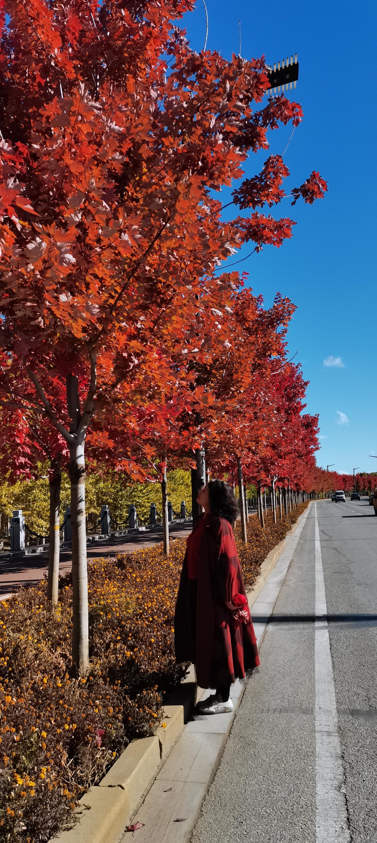 分享一张相册里随手拍的天空