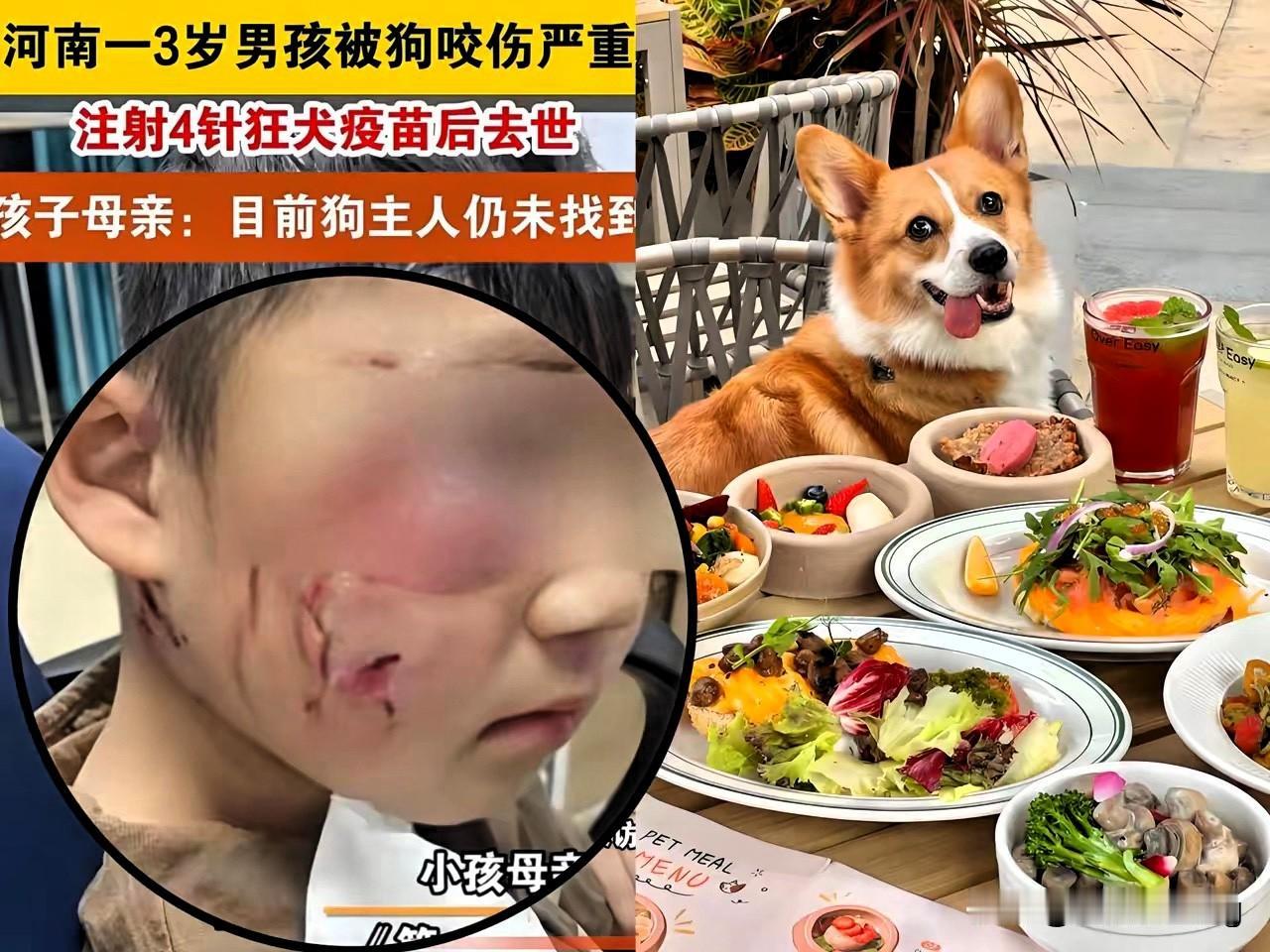 最近这养狗相关的争议，风向变得实在太快，很多不养狗的人都觉得，自己的正常生活空间