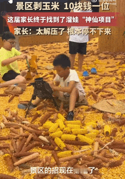 笑不活了！天津，一老爸带娃去景区，花10块钱让儿子体验“剥玉米”。本以为孩子也就