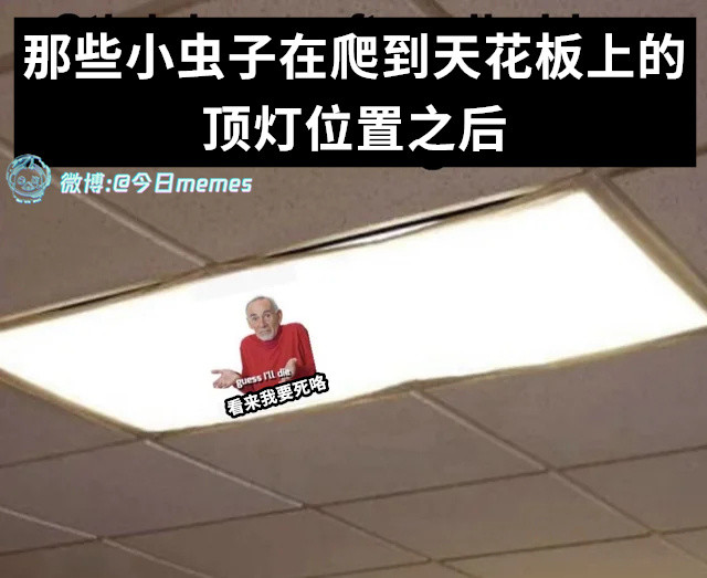 大象墓地（9gag）今日meme今日memes