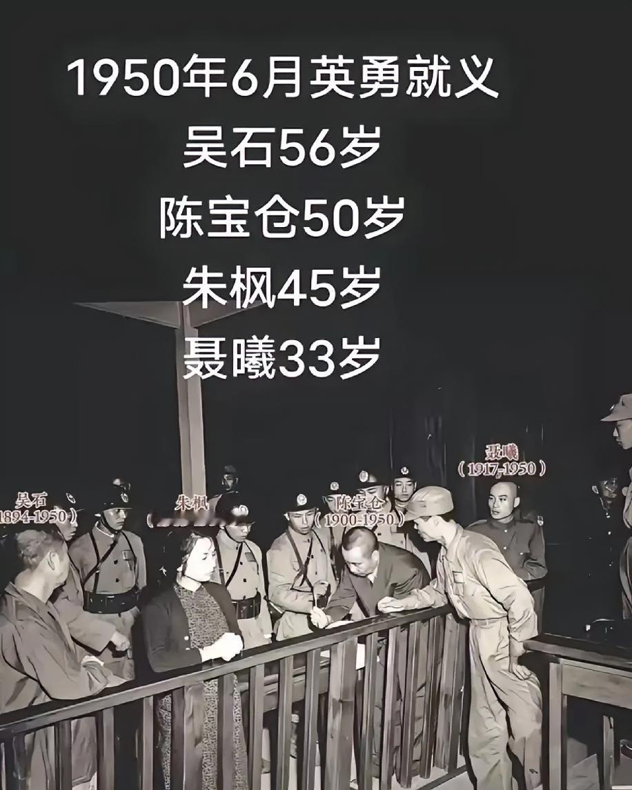 沉默的荣耀《沉默的荣耀》朱枫牺牲后，没人为她收尸料理后事，当时通知了阿菊，