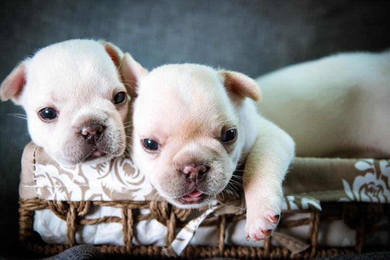 家人们看完这个故事，眼泪根本忍不住！江西景德镇一个幸福的三口之家，被一场飞来横祸