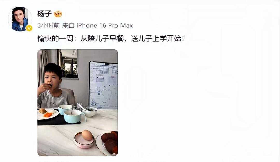 杨子这波操作真是让人无语！老婆在的时候不珍惜，离了婚开始满世界表白；儿子在身边时