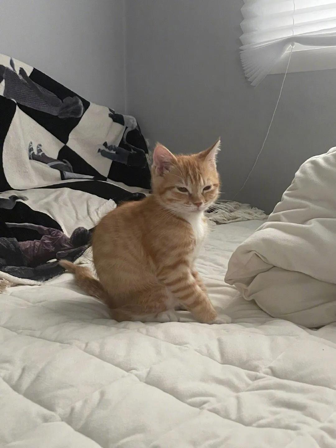 站着站着，睡着了！