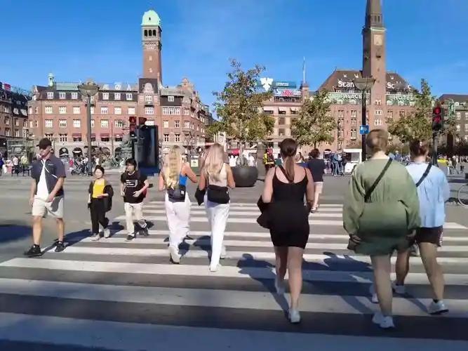 有朋友在丹麦生活，我特意问过她一个困惑很久的问题：美国人出10万美元邀请格陵兰人