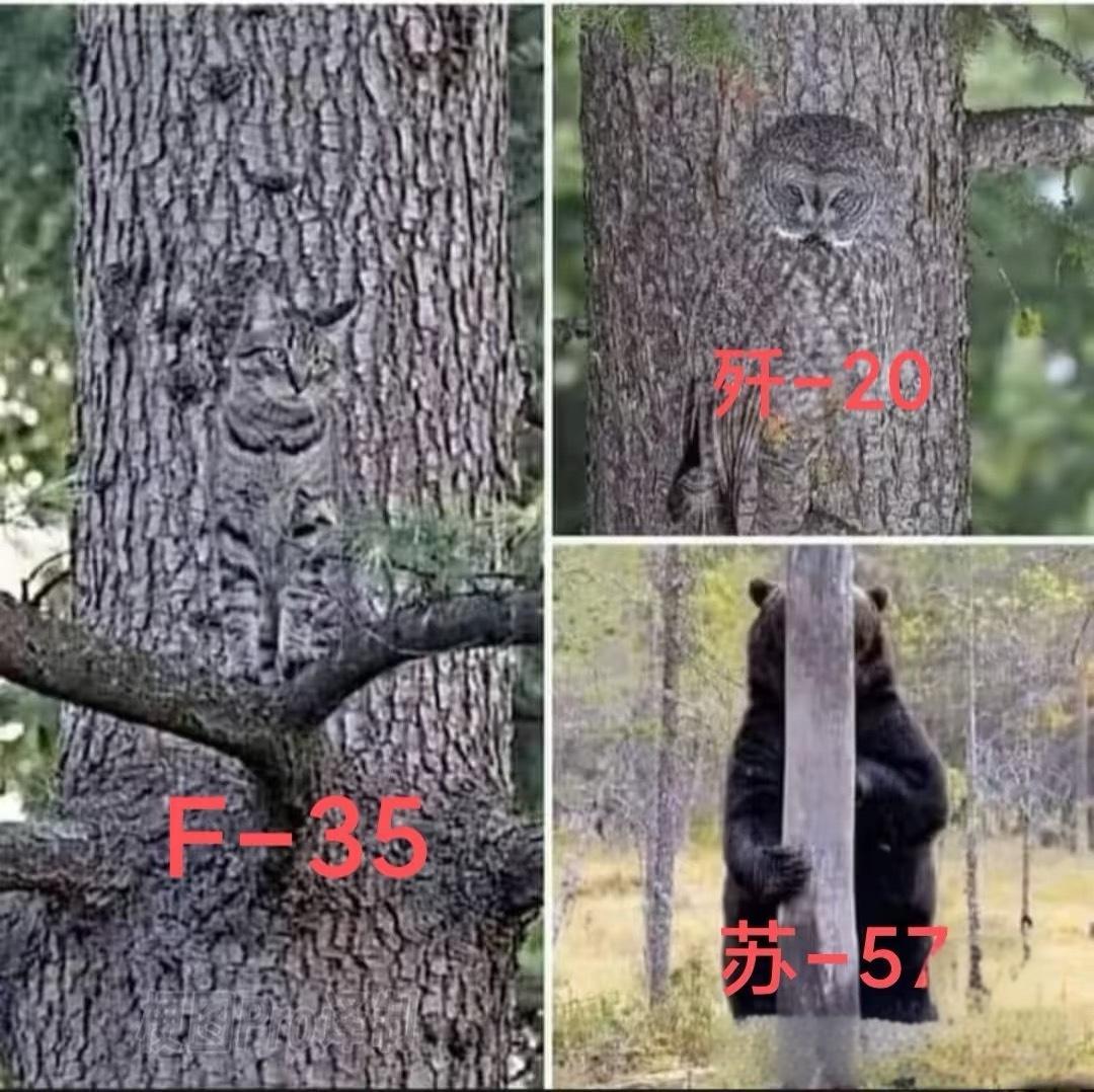 这是网友制作的中美俄三国五代机隐身性能对比！ 别说，还挺搞笑的。 特别是