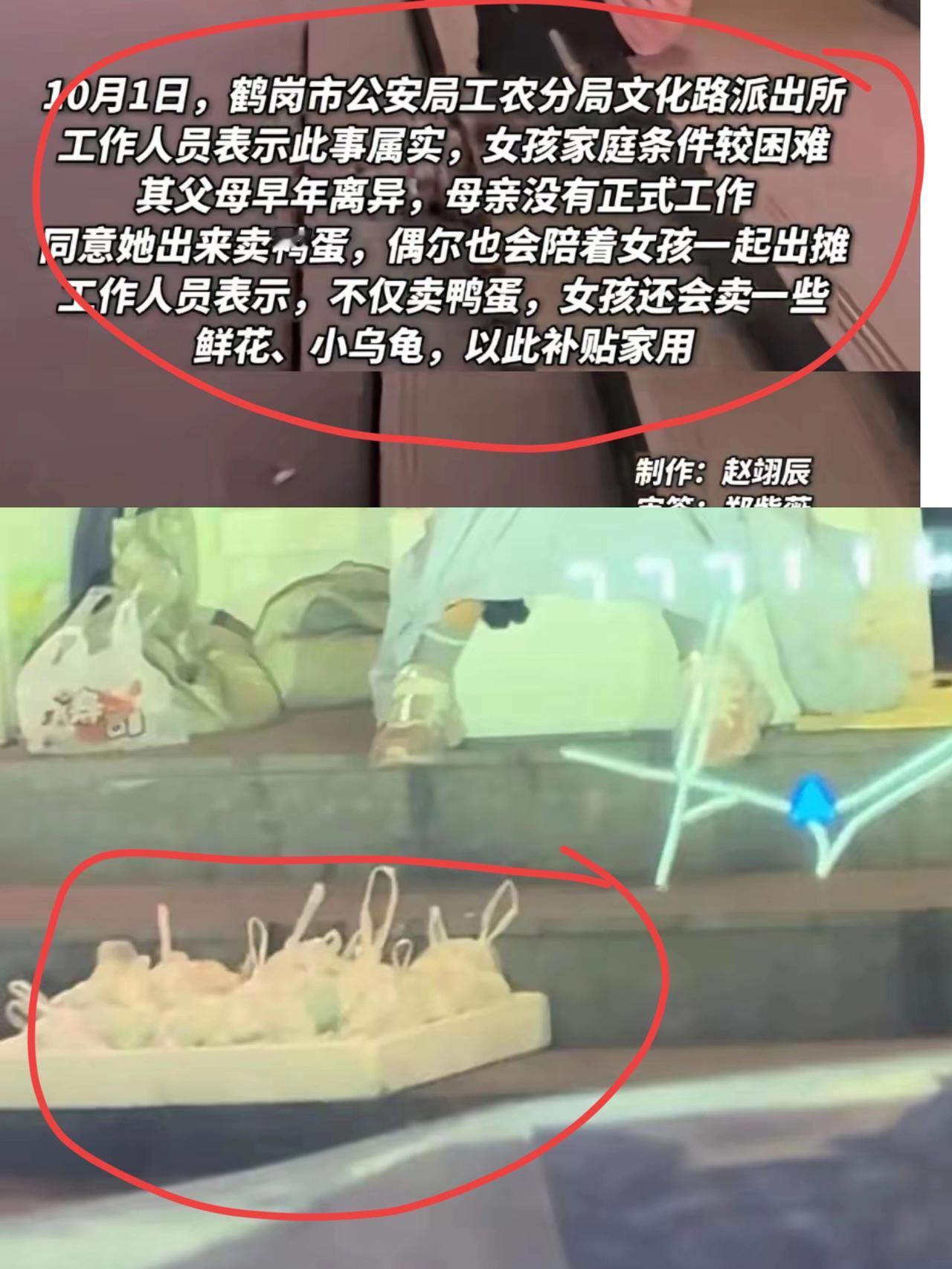懂事得让人心疼！鹤岗一个13岁的小女孩，由于父母离异，家庭生活困难，每天放学