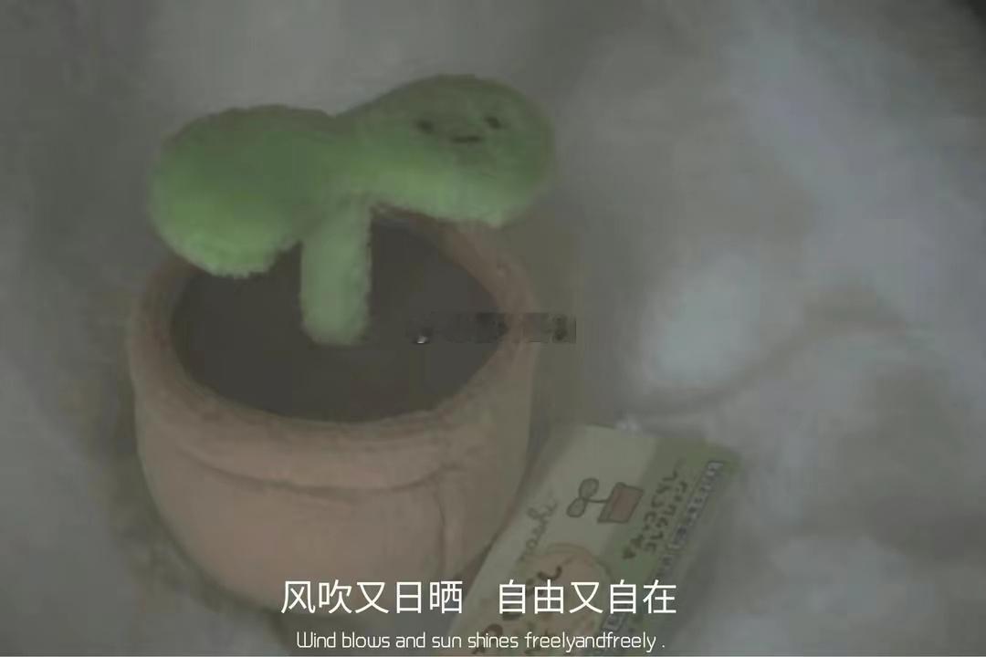 天蝎座也是一个不好惹的星座。他们拥有强烈的直觉和敏锐的洞察力。天蝎座的人深思熟虑
