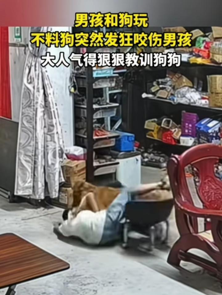男孩和自家狗玩耍不料狗突然发狂咬伤男孩！狗主人：别怕啊，我
