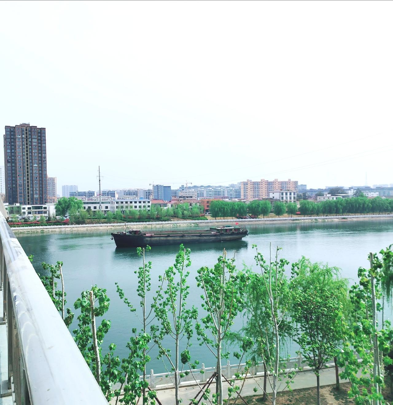 能分享你家乡的美景照吗我在头条晒美景，沈丘公园美景随手拍。