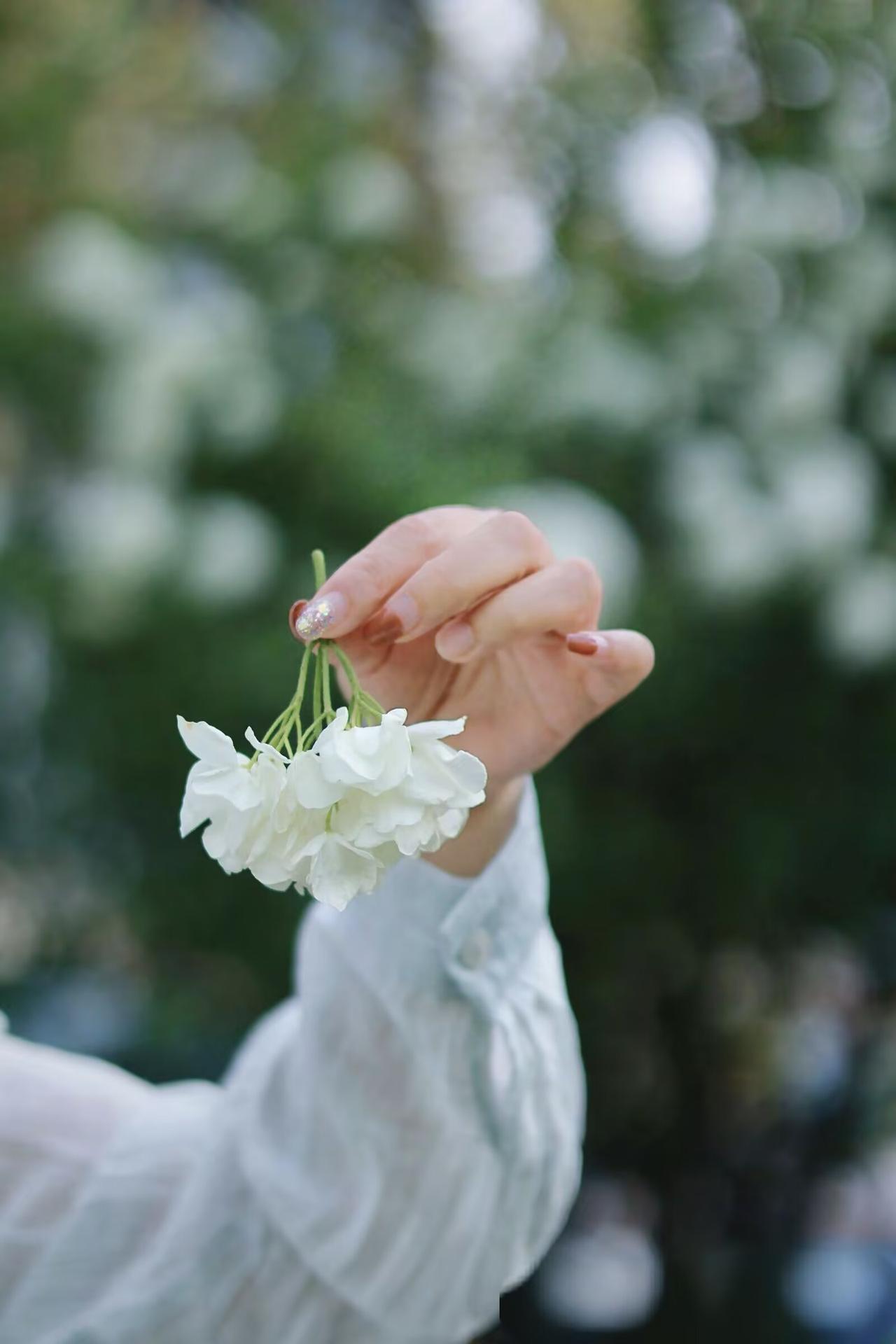 一位心理学家说：“一个女人最厉害的能力，从来不是把家里打扫的有多干净，也不是