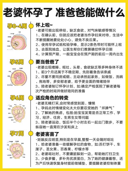 老婆怀孕了‼️准爸爸能做什么？一篇说明白