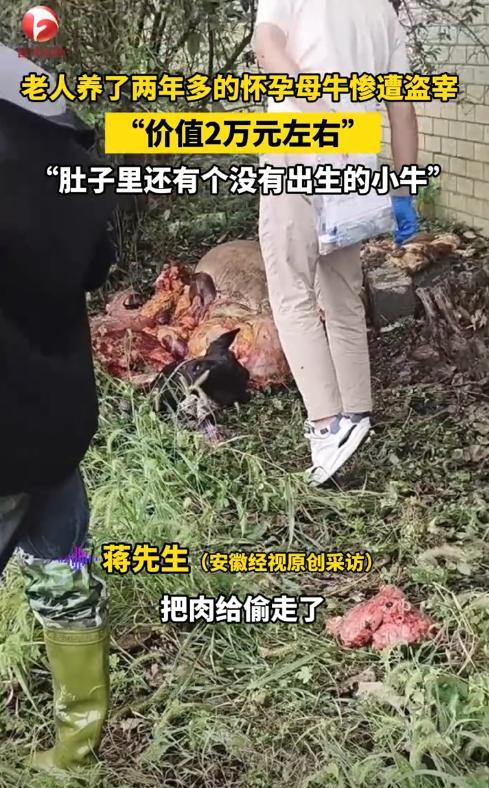 “严查到底！”9月29日，湖南郴州，一老人家里养了2头牛，基本上就指望这点钱过日