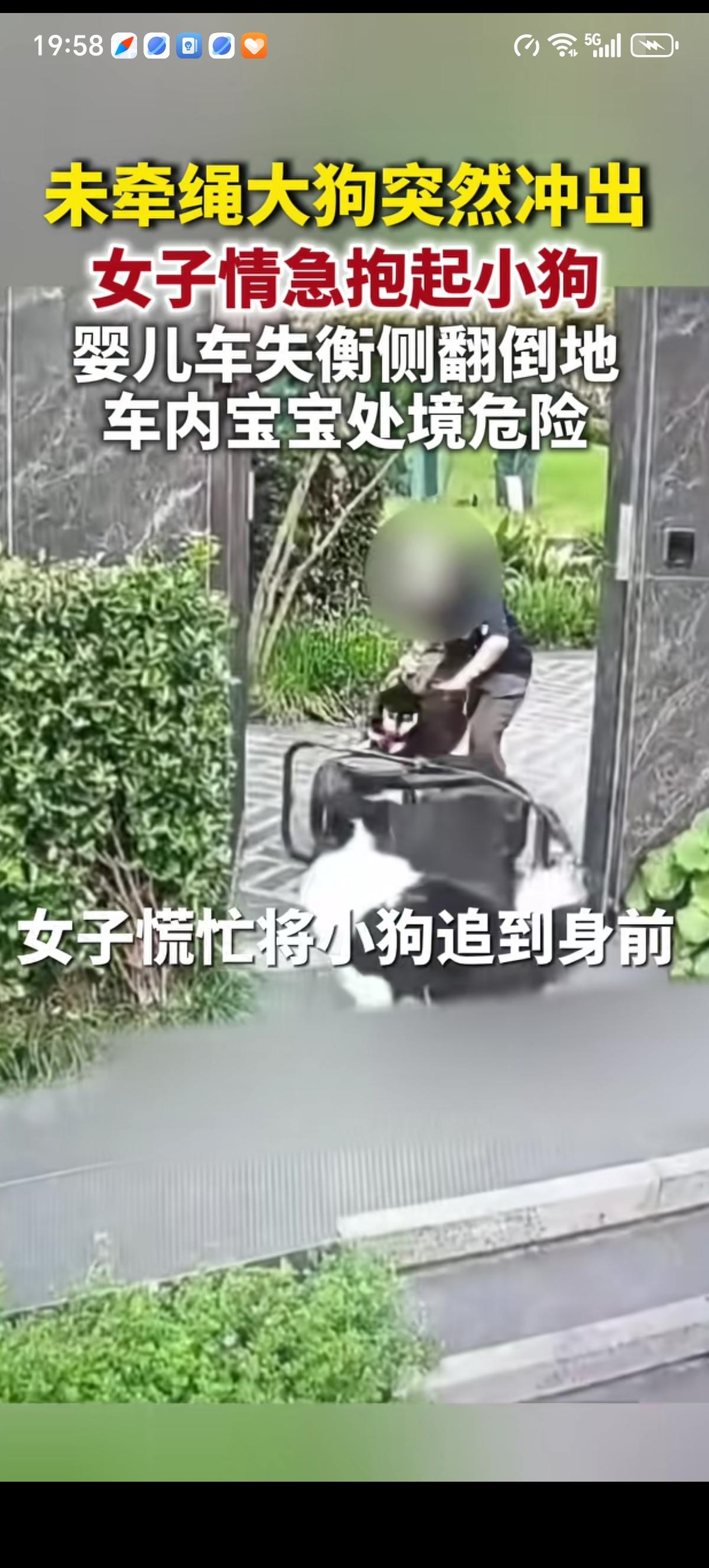 女子牵着小狗、推着婴儿车出门，一条大未栓绳大狗突然冲出来，女子下意识护住小狗，任