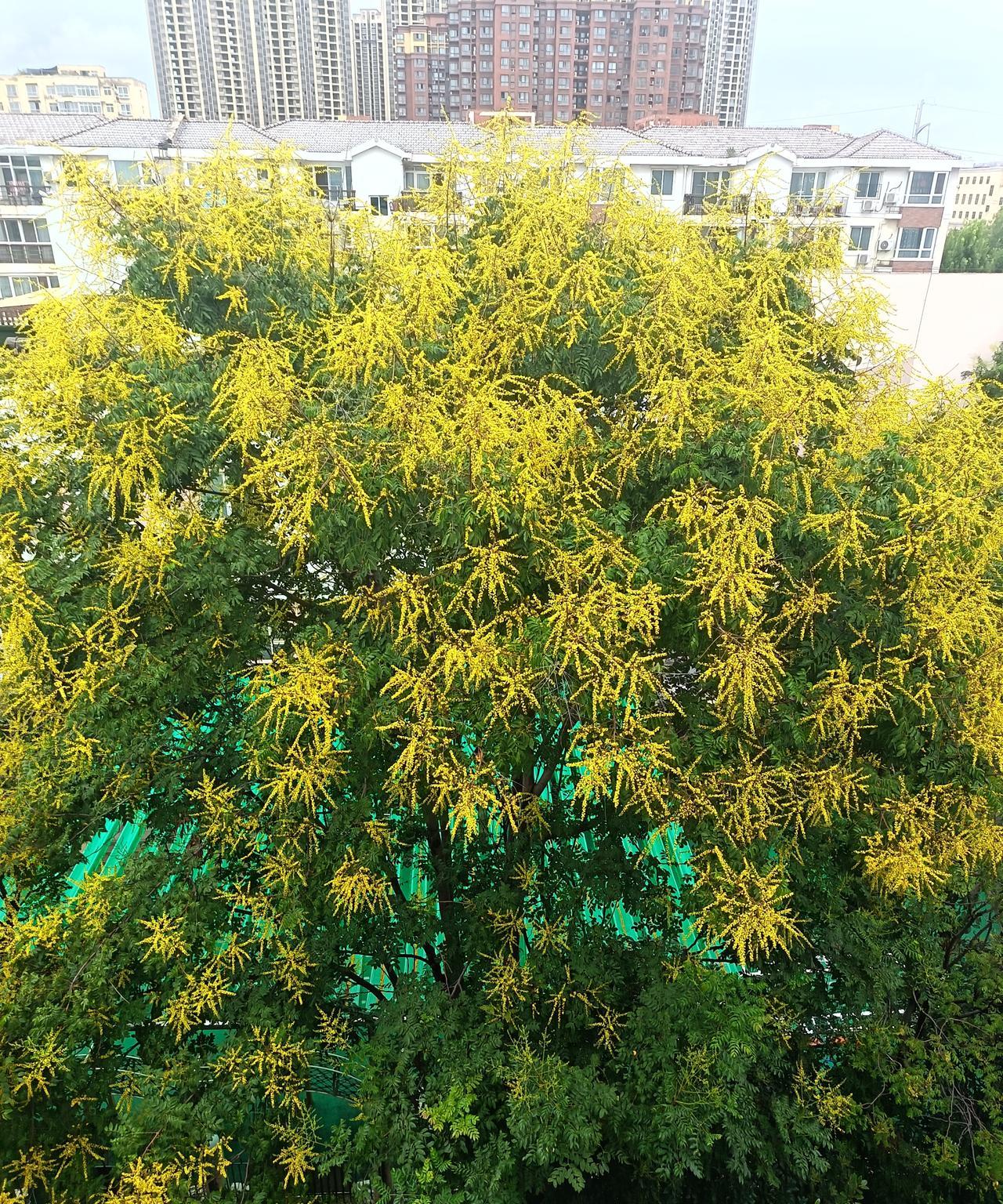 秋雨淅淅沥沥，天湿路滑。外出办事，在某平台打了一辆网约车。上车之后，司机对我