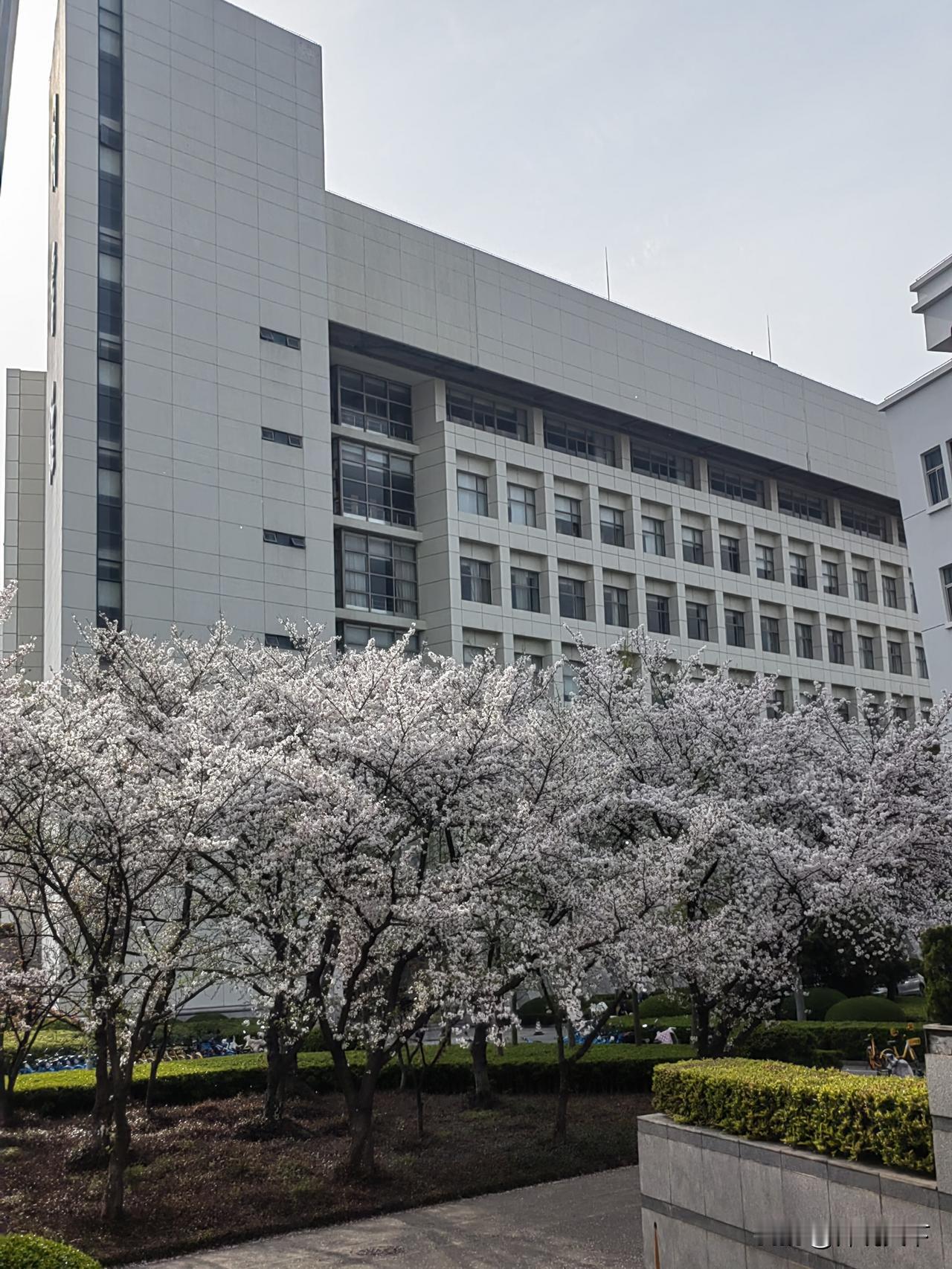 乡镇党政主要领导及职能一、党委领导1. 党委书记主持乡镇全面工作，总