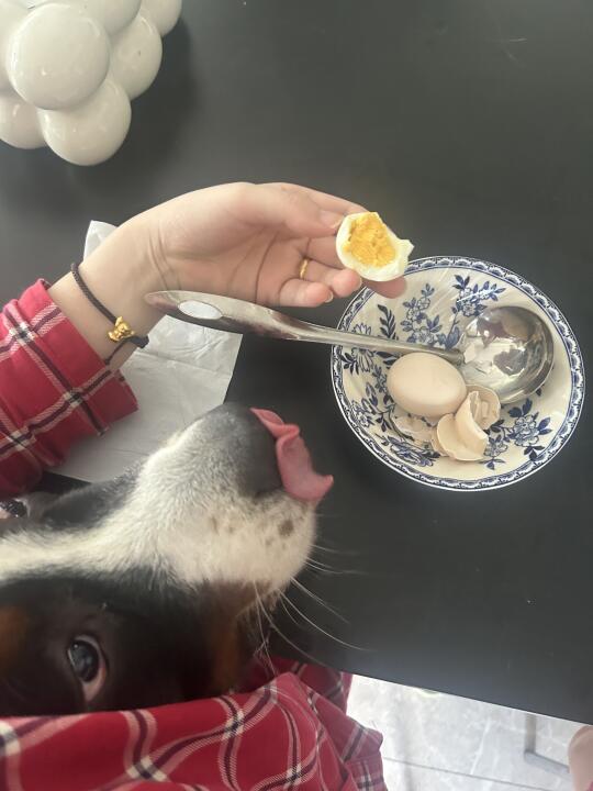 吃鸡蛋的时候腋下会长狗