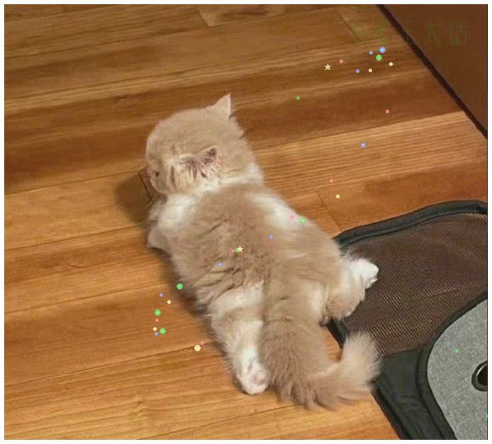 小猫背影杀，比正脸还萌！