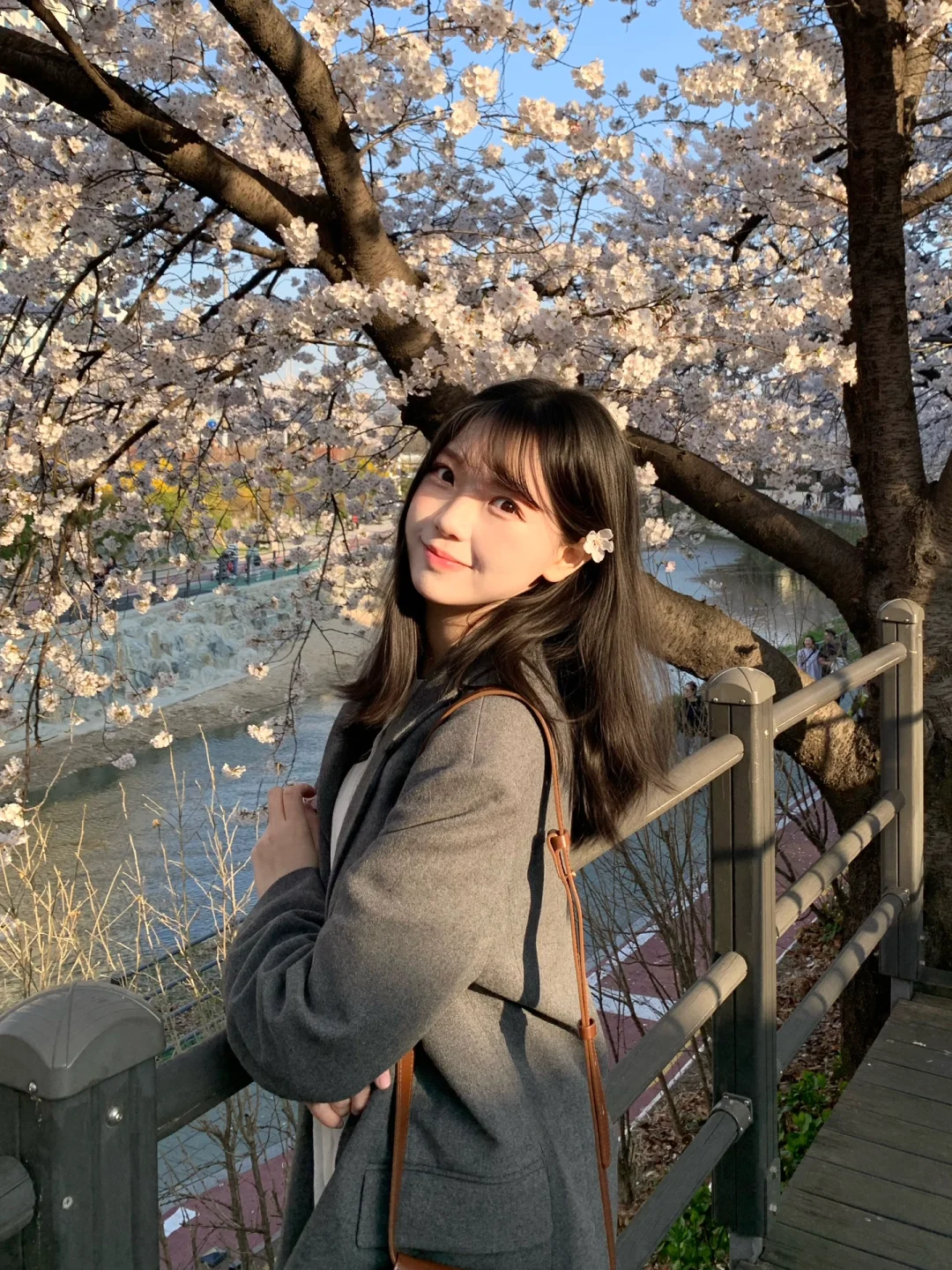 首尔🇰🇷樱花🌸的日与夜