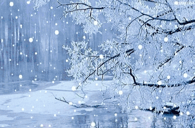 河南前几日下了一场大雪，雪还没积厚，学校的停课通知先到了。家长们忙着调班看孩子，