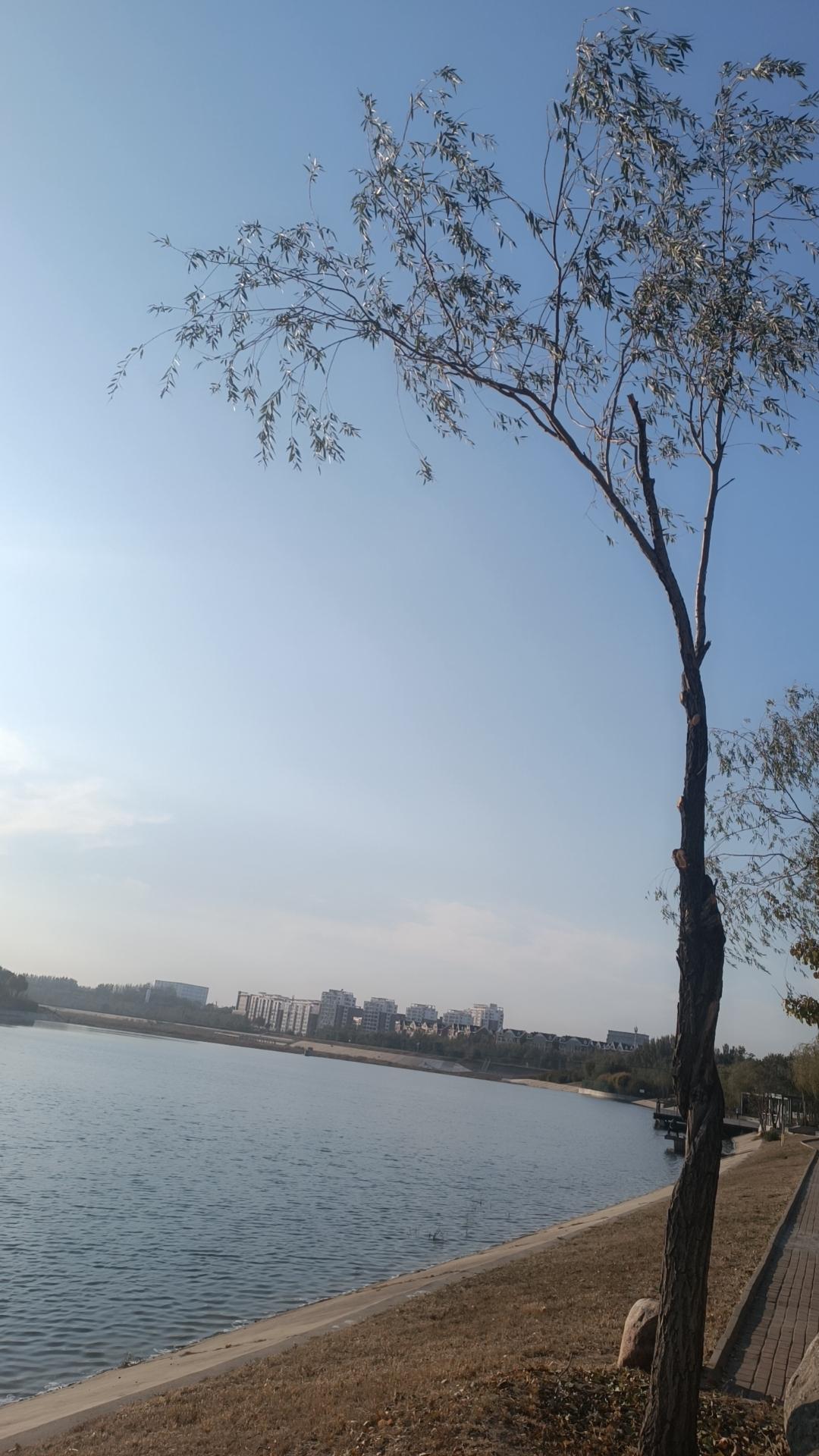 我衷心祝福你,这年头有钱就是王道,祝你越攒越多,但也得舍得花,对自己好点。