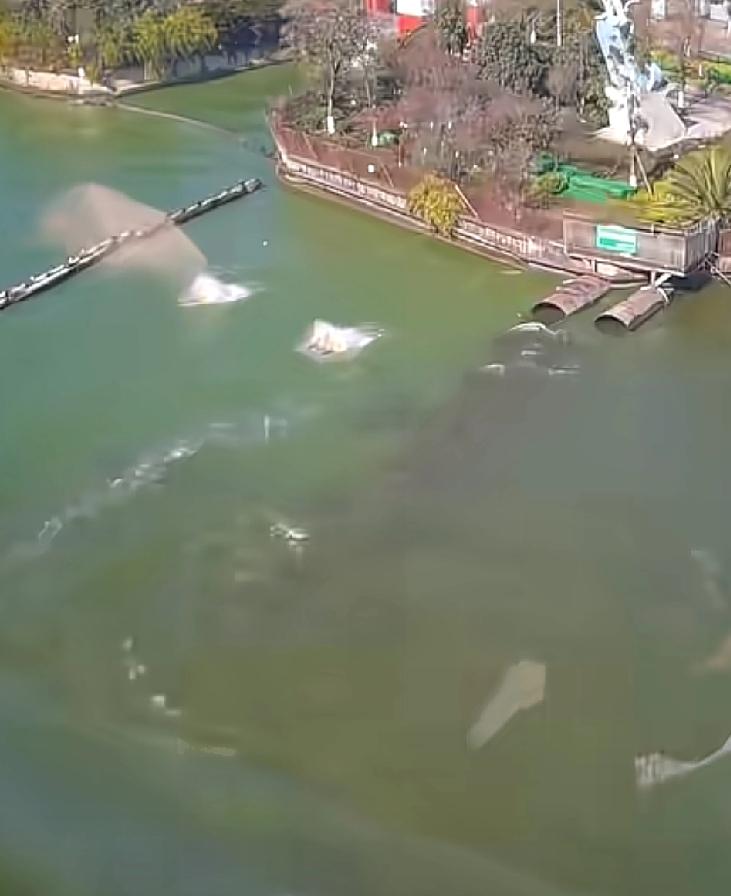 还好是个误会，不然这后果，昆明朋友一定接受不了最近，一位游客在云南昆明滇池附近