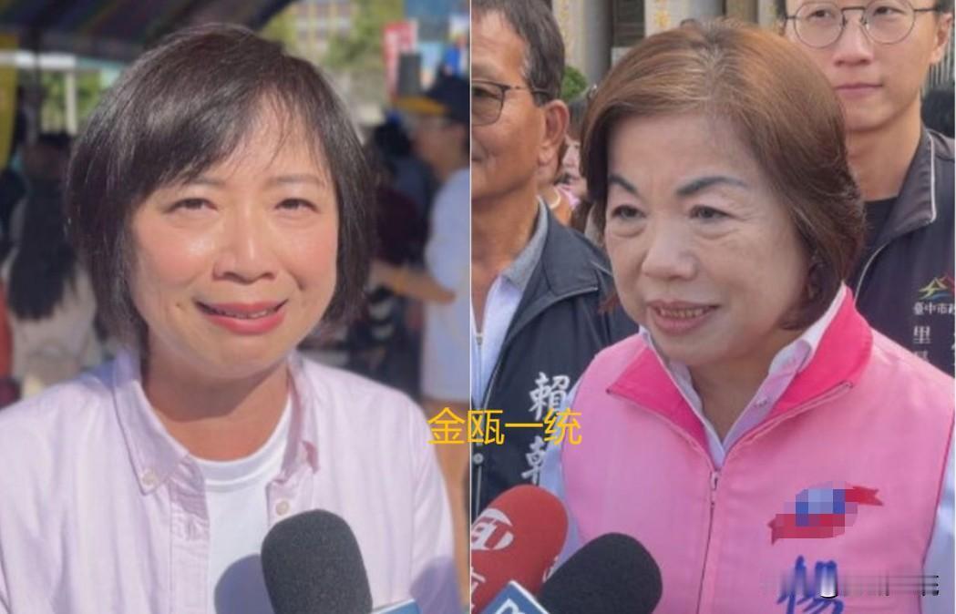 杨琼璎连何欣纯都输还有什么理由赖着不退？在1月12日的台中市长党内协调会上