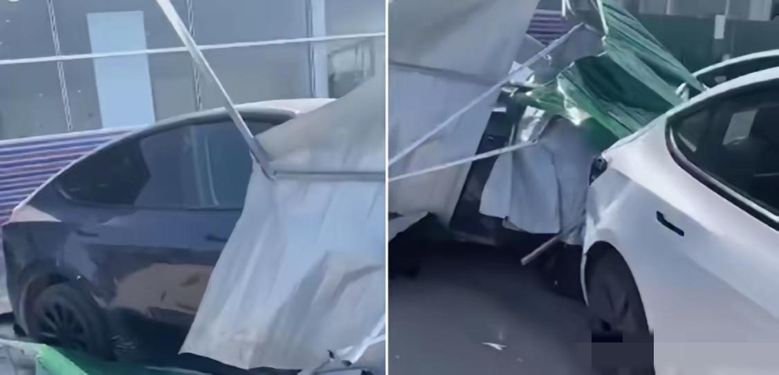 太倒霉了！山东青岛，女子花26万买了台特斯拉，一家人喜滋滋的去店里提车，结果交完