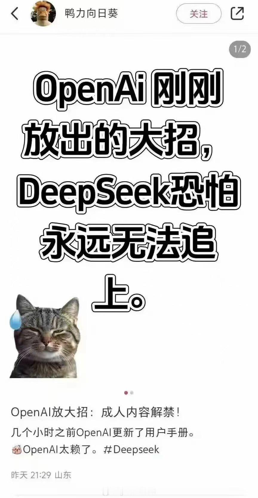 啊，这。。。。[doge]OpenAI出这招的话Deepseek确实完全无法追上[