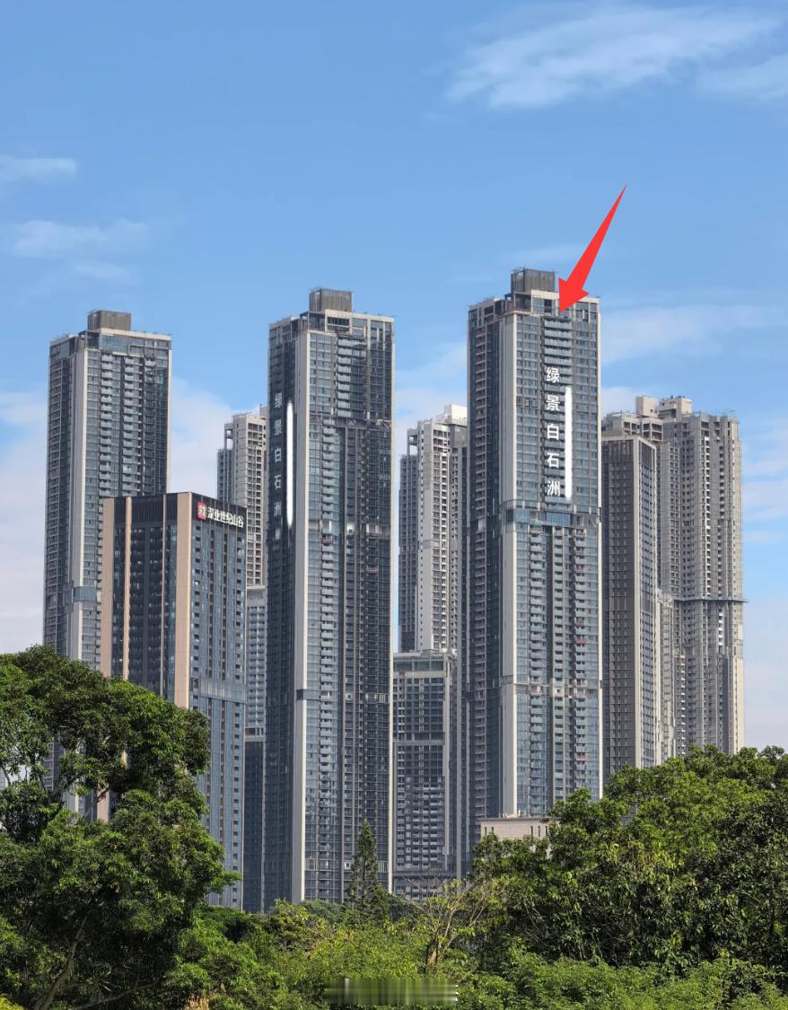 深圳南山绿景白石洲73层高，400平顶复有人买了，5000万。他家暂时是全深圳最
