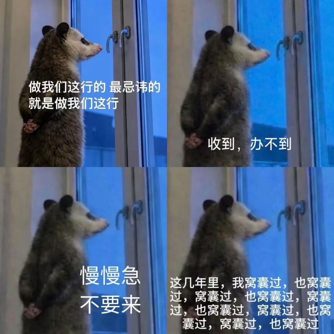 我想看看你们的负鼠表情包。
