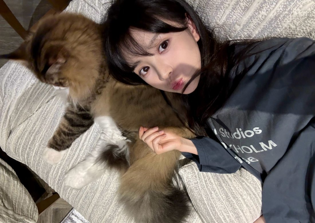 田曦薇你怎么压着康康大王[doge]原来康这么大一只哈哈哈​​​