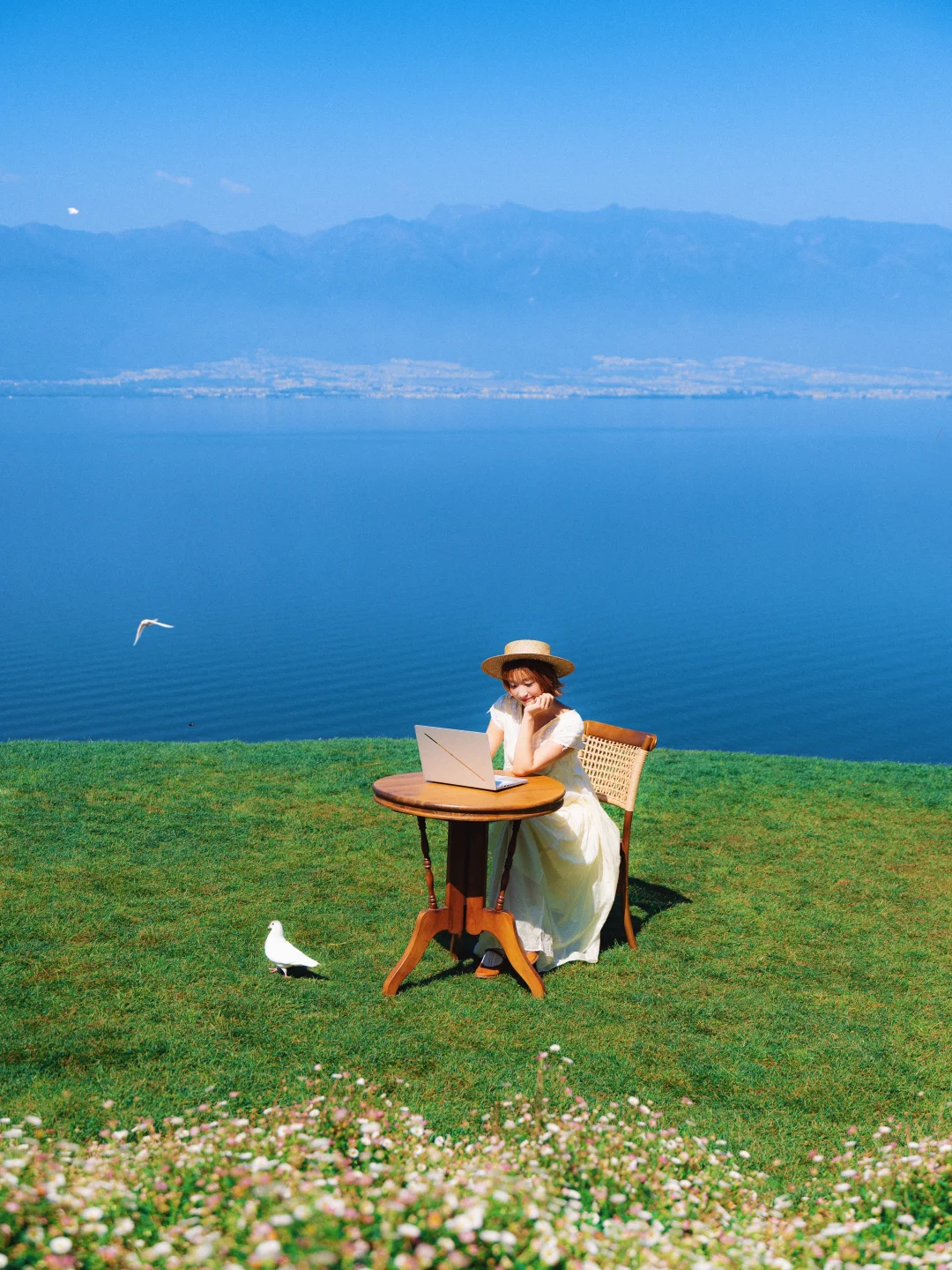 都市隶人的骡马假日，坐拥252km²海景办公室