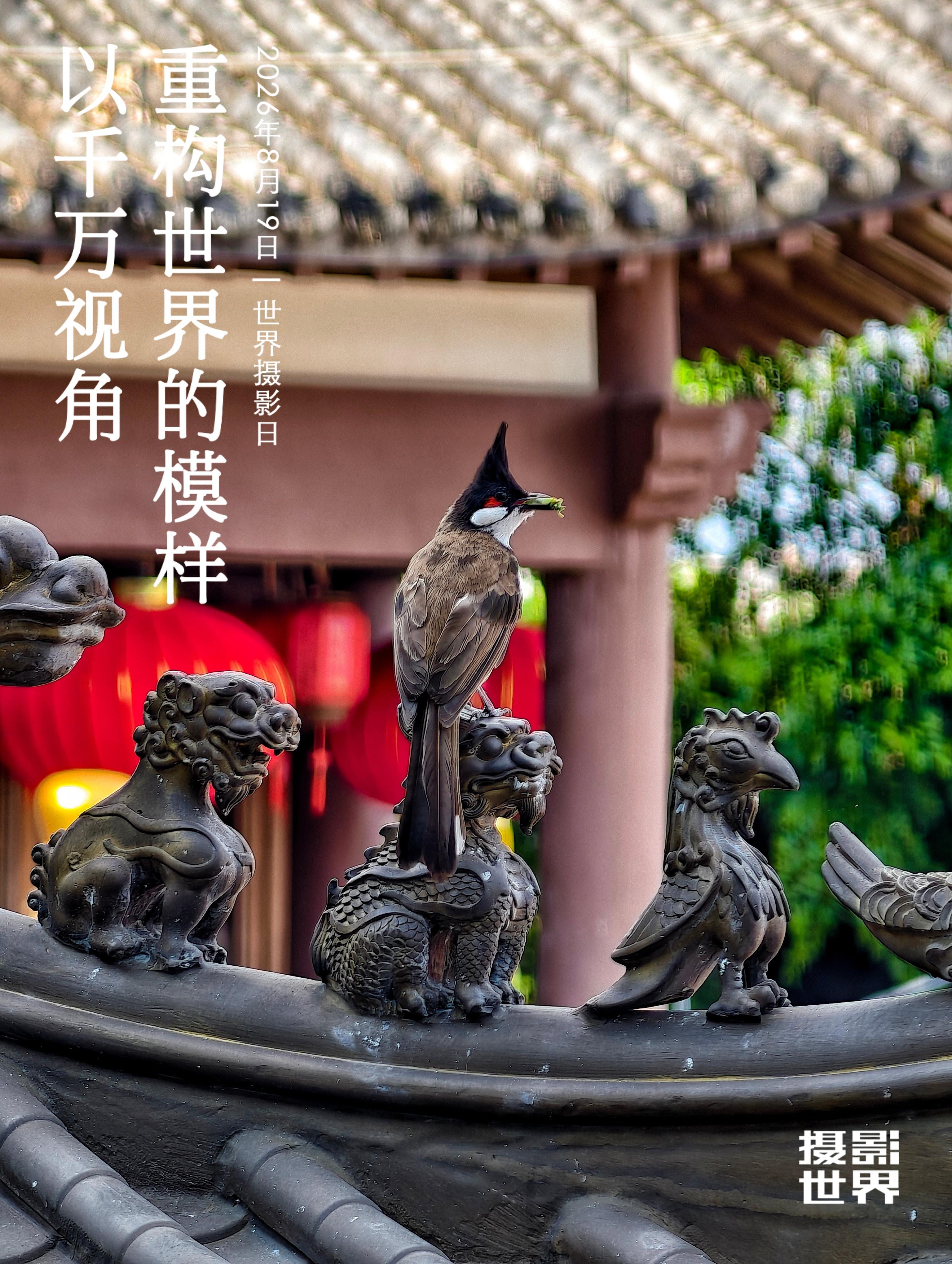 摄影世界世界摄影日以千万视角，重构世界的模样！