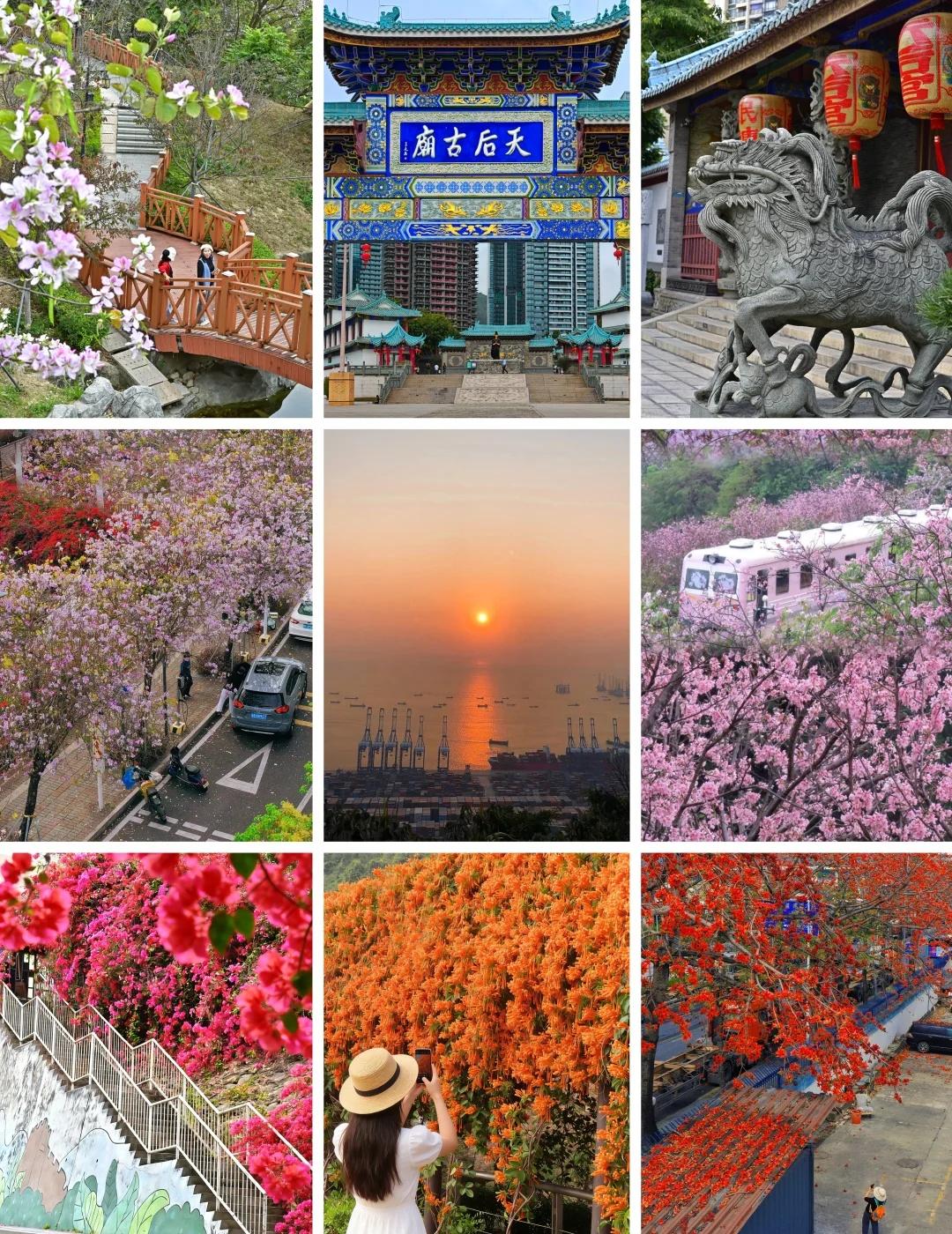 深圳🌺春天踏青满分💯路线！山海花路春天，天气刚刚好，一切都刚刚好，很适合踏