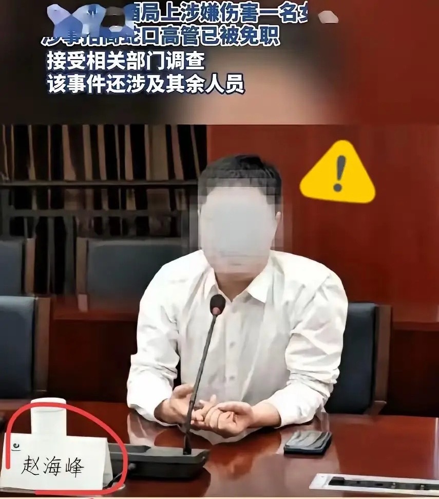 调查组通报杭州酒局事件8月18日通报出来了，赵海峰被刑拘、被免职。同一张通报里还