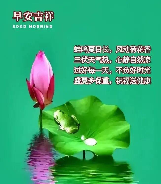 早安吉祥！荷花香伴蛙儿跳，三伏天里心静自然凉，愿你清凉一夏，健康又欢喜～分享每