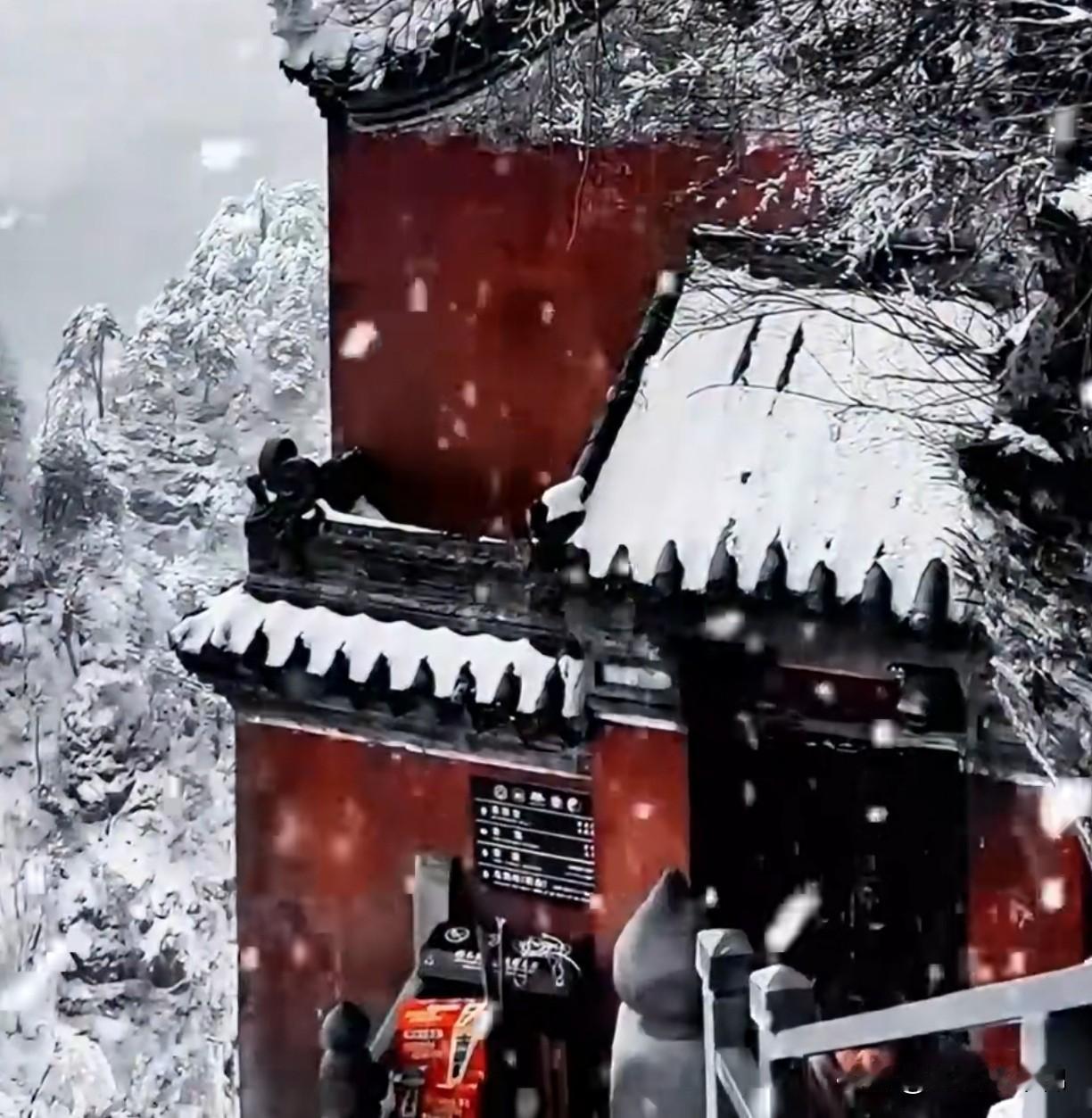 前几天武当山下雪了我距离武当山也就一个多小时山上下雪山下下雨2025冬天