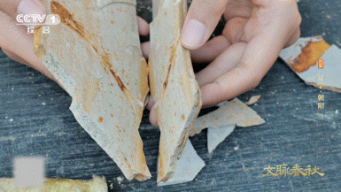 东北人砍价便宜了上亿元第一次见把化石当特产辽宁朝阳离谱操作！把化石当伴手礼卖，