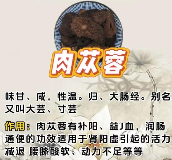 要想海绵体又长又坚，认准6味药，让肾重返18岁！1.肉苁蓉2.淫羊藿