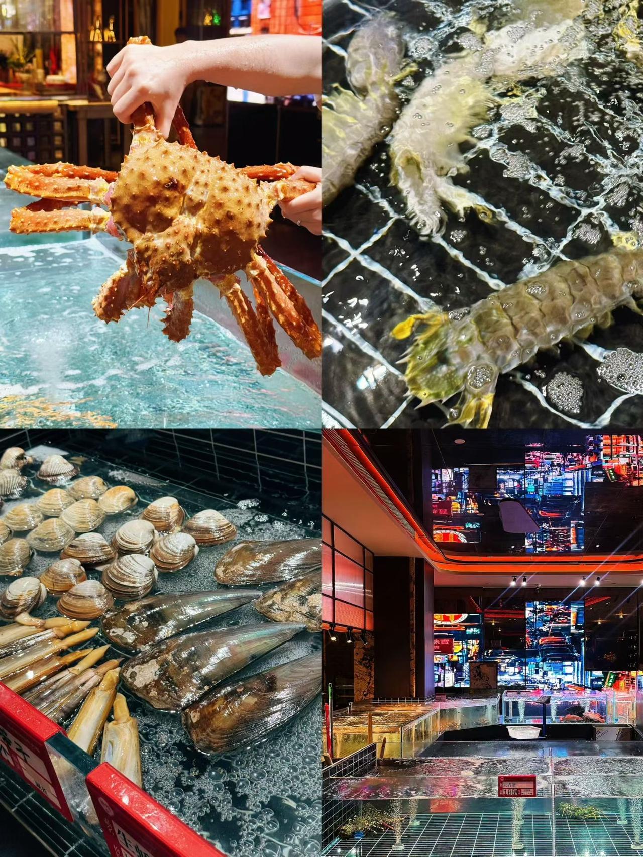 海鲜生猛全是鲜活现捞，重点帝王蟹才188一斤，比楼下盒马还划算！东星斑、象拔蚌、