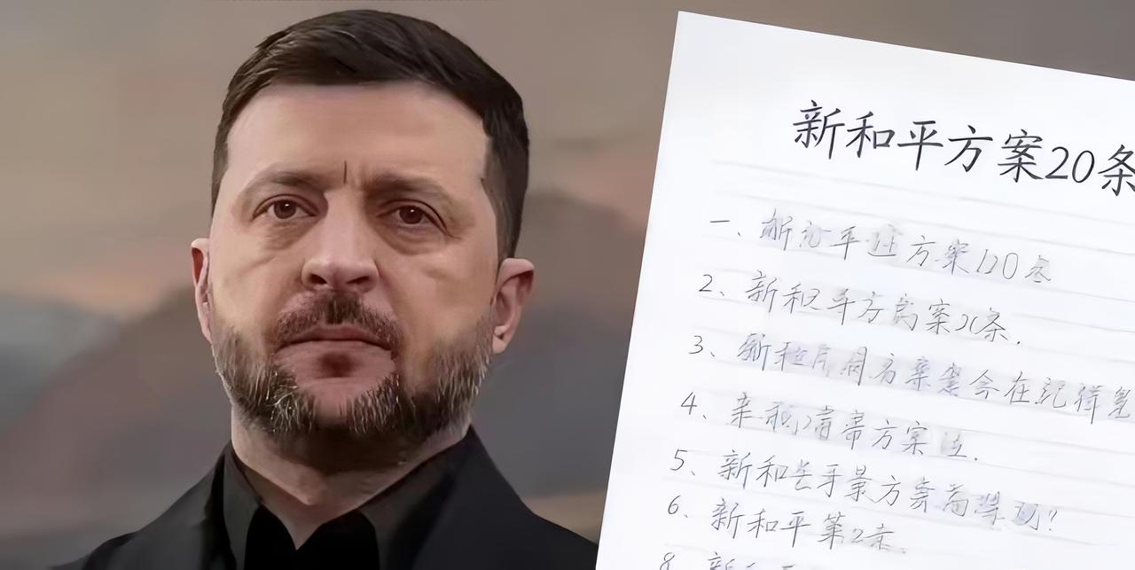 泽连斯基这次彻底明白了！摊牌了！新的20条方案一出，看着是条款少了，其实个个
