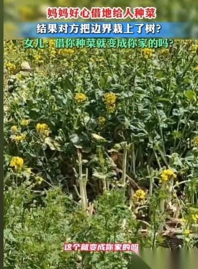 “现实版的农夫与蛇。”安徽，女子上坟回来，发现自己家的地，和邻居的边界，都种上了