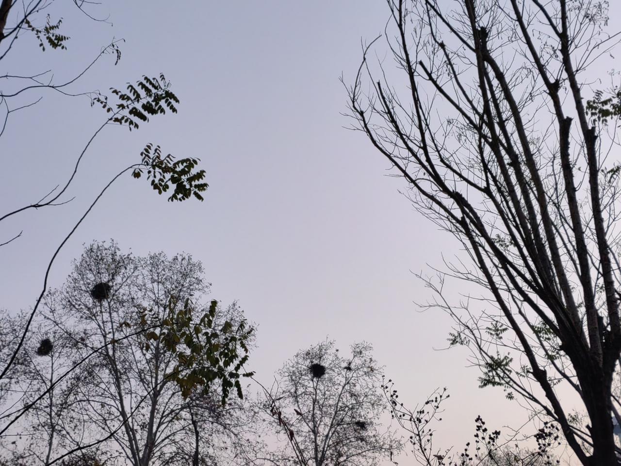 据有媒体报道，一李姓男子，50多岁，以跳广场舞和交谊舞的方式结交女性，与几十名女