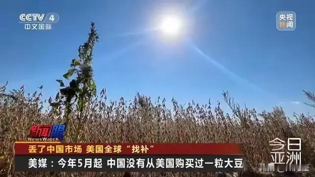 原本以为美国已经够无耻的了，没想到，跟我国关系还算好的巴西，比美国更加无耻，简直