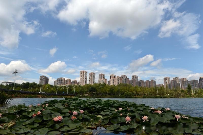 贵阳楼市这几年来房价分化也太大了。从2021年9月到2026年1月，这么多年下