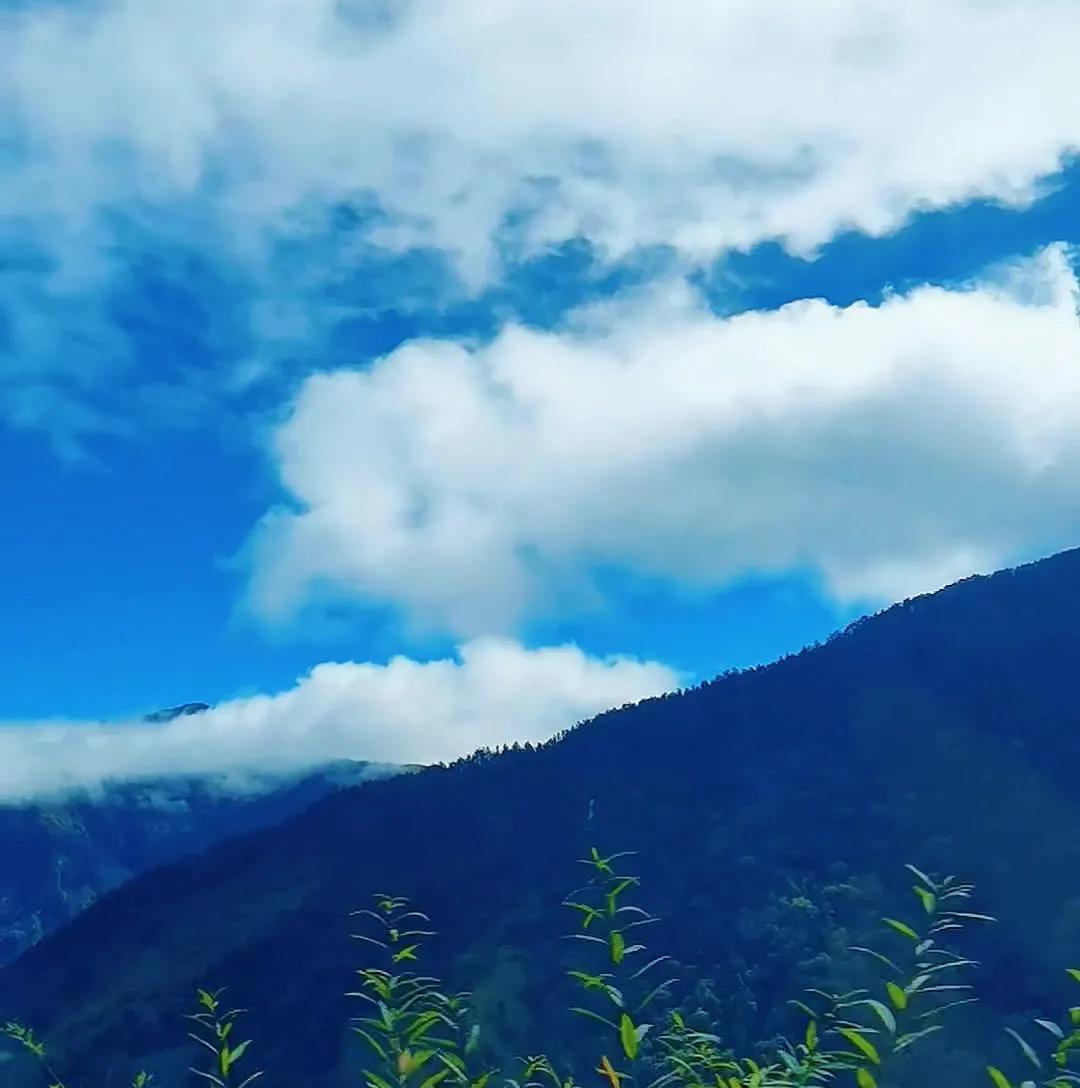 一网友靠煮蛋时间精确到秒爆火——水开下蛋9分12秒是完美全熟，7分11秒是溏心蛋