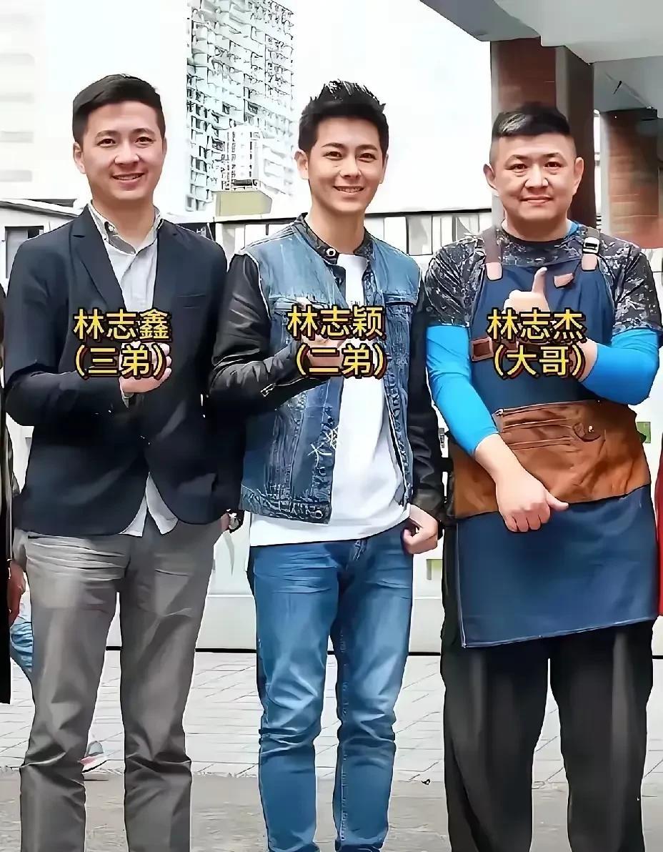 仔细看看林志颖三兄弟，长得很像鼻子一模一样。脸型不一样五官还是很像，不是同龄人而