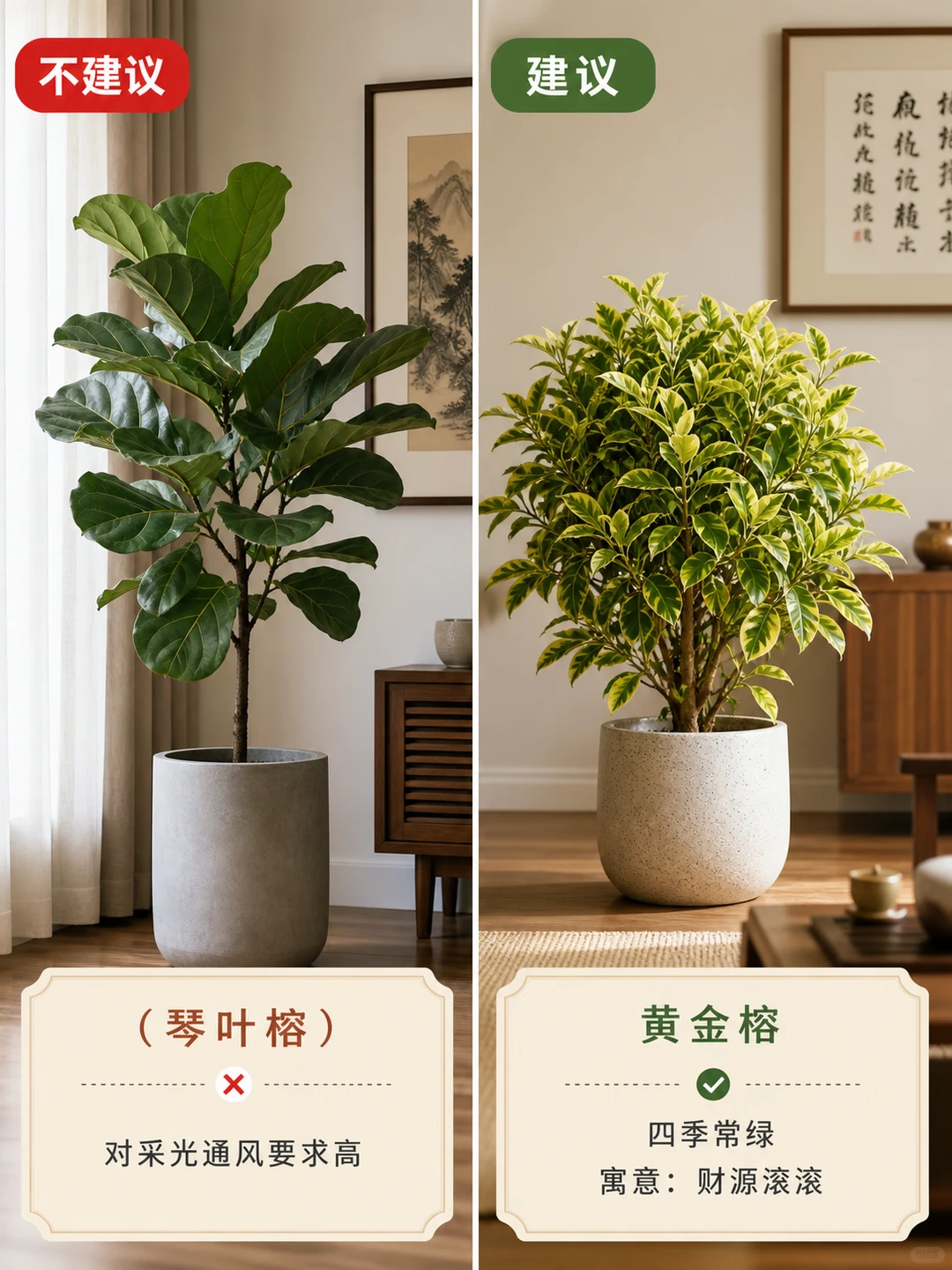 客厅摆放绿植，新手千万不要碰这9种！